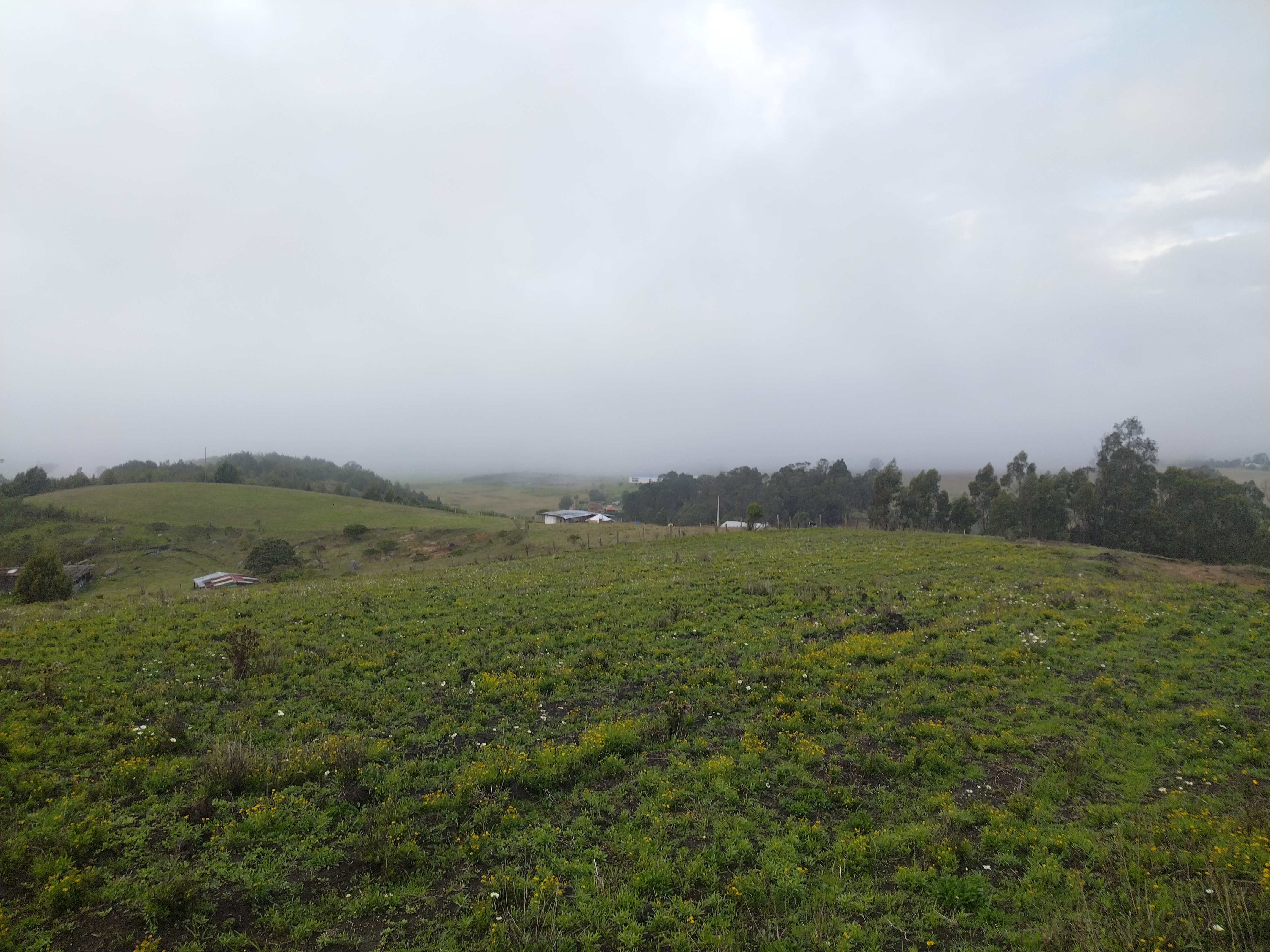 Bojacá vereda Cubia