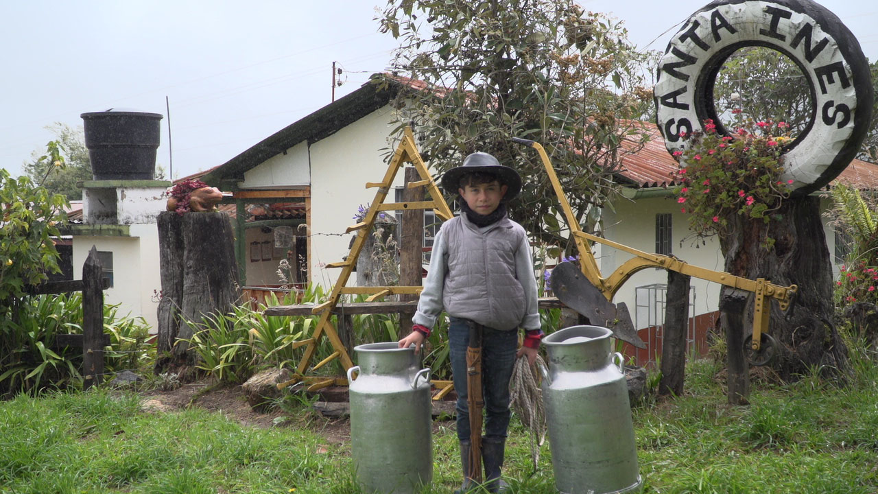 Publicacion - bovinos.jpg