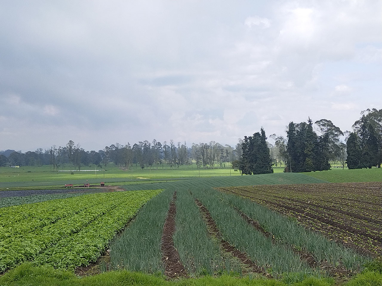 Finca productiva en Bojaca Cundinamarca