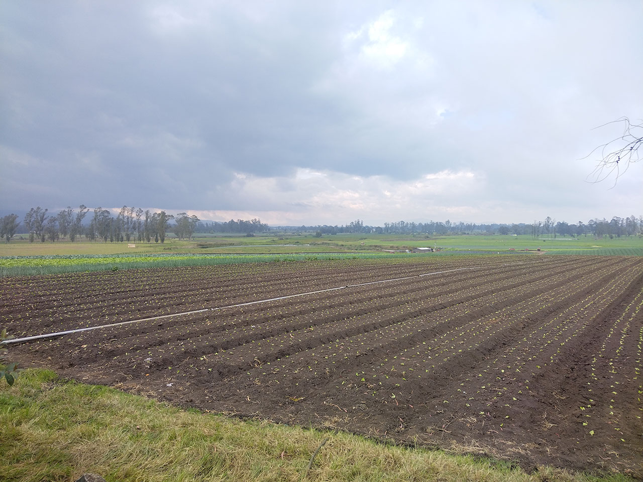 Arado de suelo en Bojaca Cundinamarca
