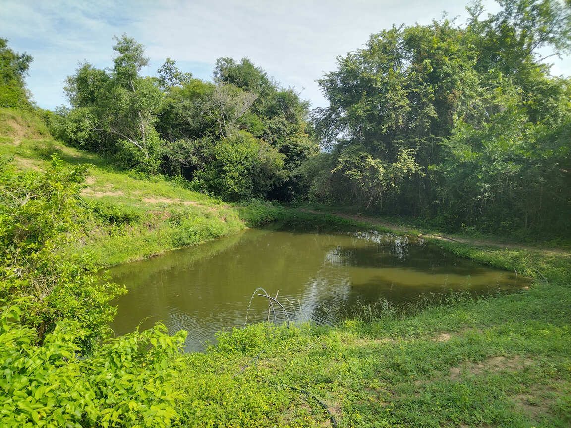 Finca en venta Villa María en Agua de Dios vista estanque para piscicultura
