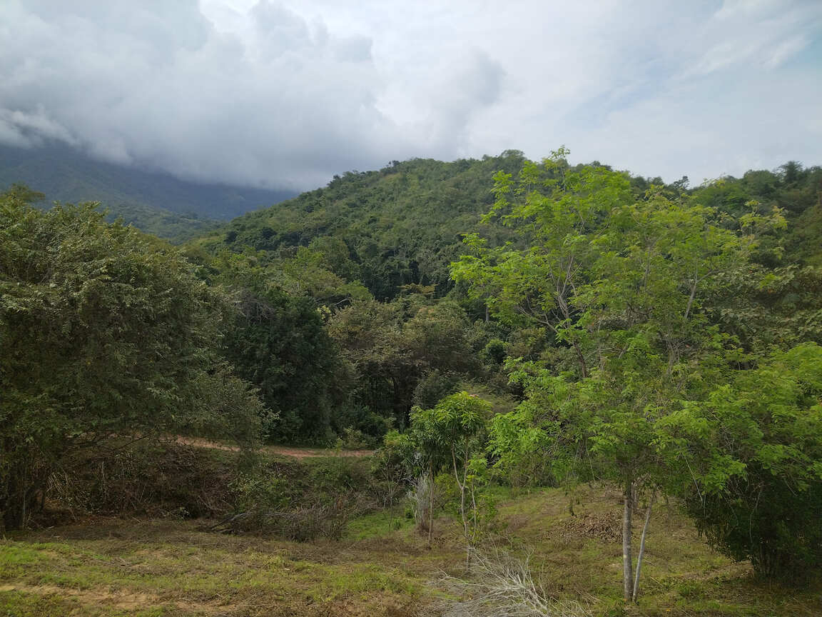 Finca en venta Villa María en Agua de Dios vista carretera interna