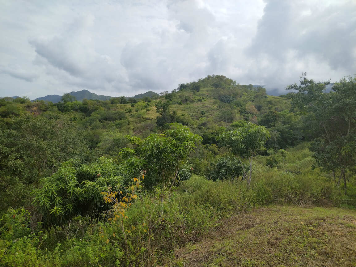 Finca en venta Villa María en Agua de Dios vista linderos