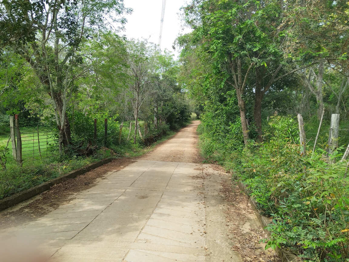 Vías veredales en Agua de Dios